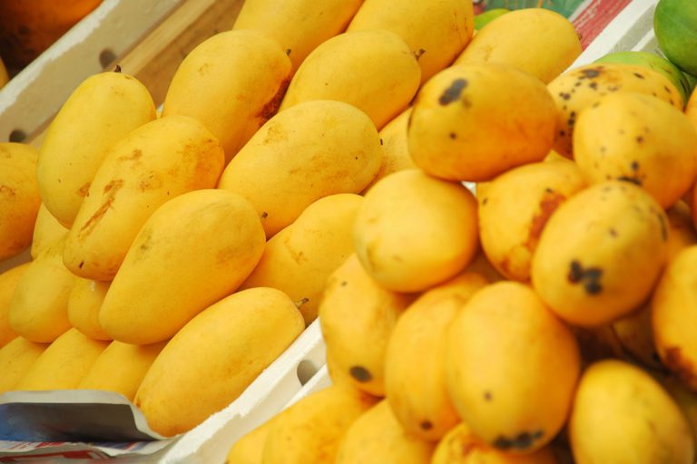 011 mango އަނބުގެ އާ ތިން ވައްތަރެއް ޕާކިސްތާނުގައި ދަނީ އުފައްދަމުން