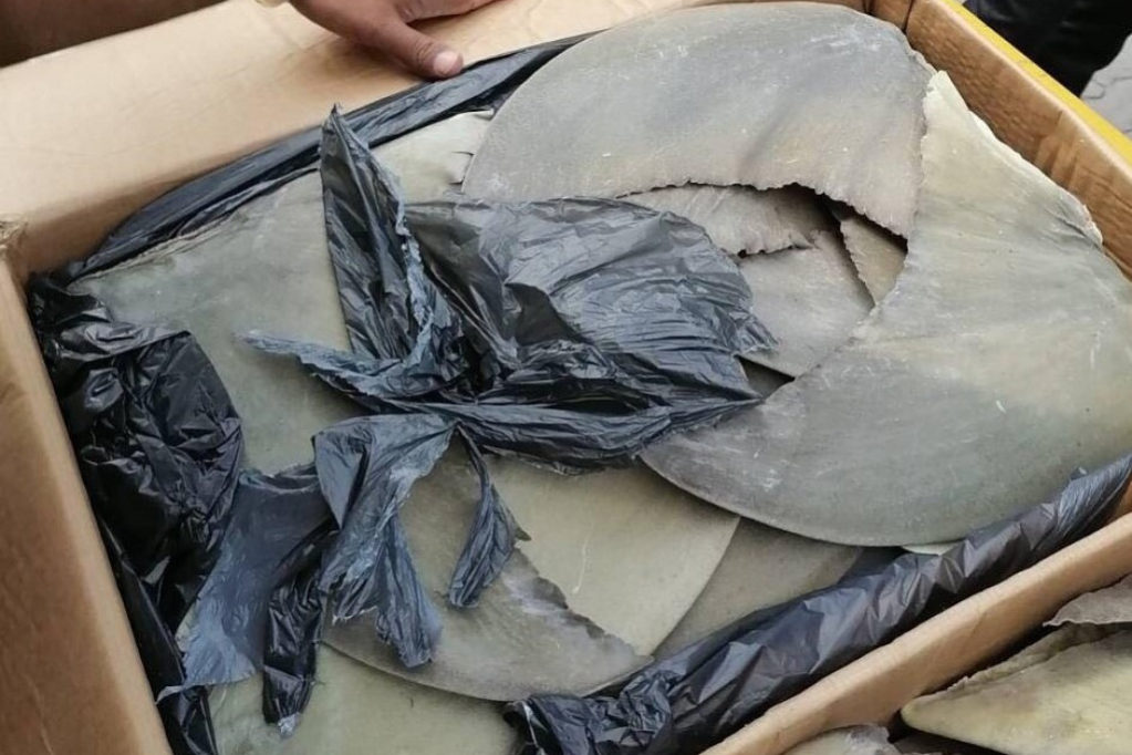 072 customs ކަސްޓަމްސްއިން ހިފެހެއްޓި މިޔަރު އުރަހަތައް