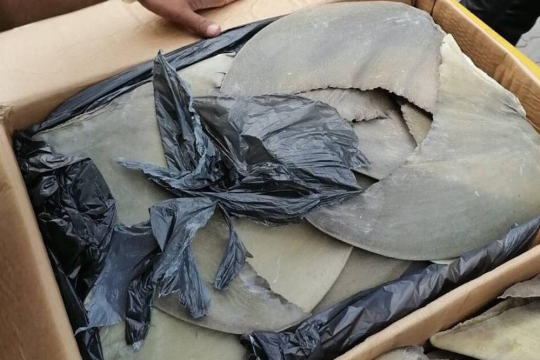 ކަސްޓަމްސްއިން ހިފެހެއްޓި މިޔަރު އުރަހަތައް