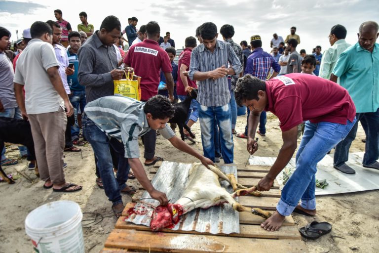 އީދު ދުވަހު ބަކަރި ކަތިލަނީ