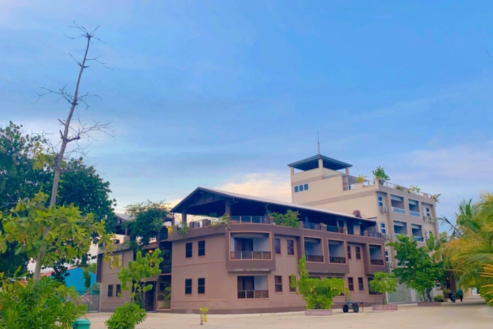 217991901_787802595249519_3712744998444222289_n ދިއްފުށީގައި ހިންގަމުންދާ ގެސްޓްހައުސްއެއް