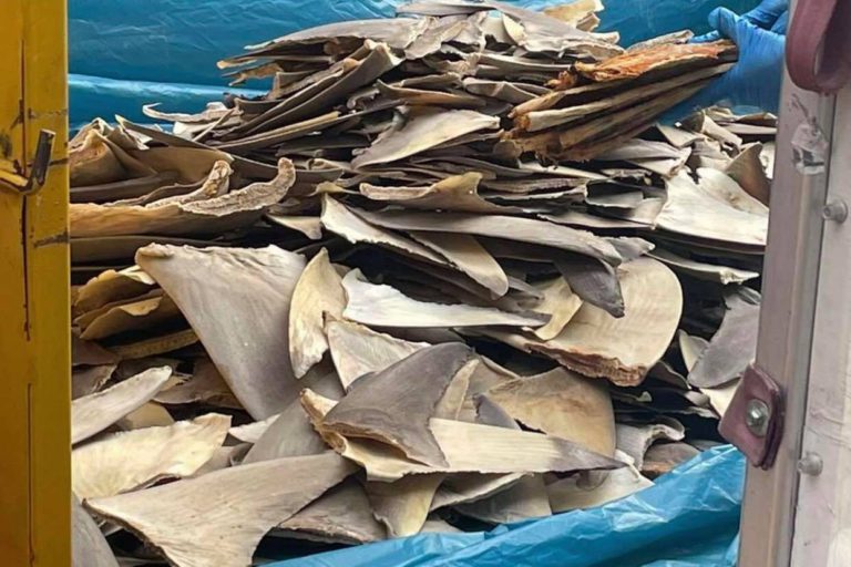 240758821_223393806392333_8976017902967514390_n