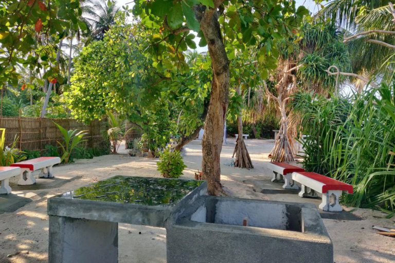 https___www.bankofmaldives.com.mv_storage_article_457_3409_1629608699.16296086994506