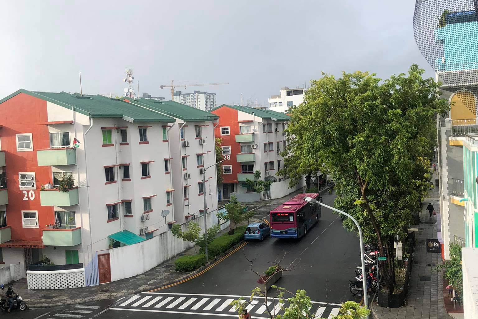 245503065_586796029229863_9189991689725280954_n