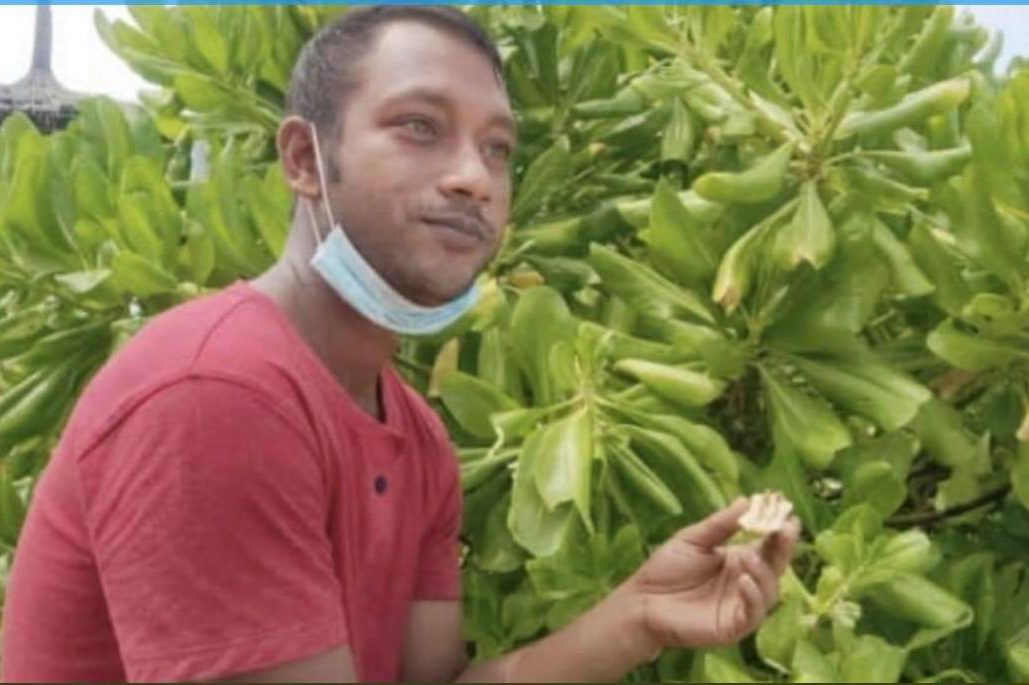 247036073_568635751102064_4837779451676157003_n