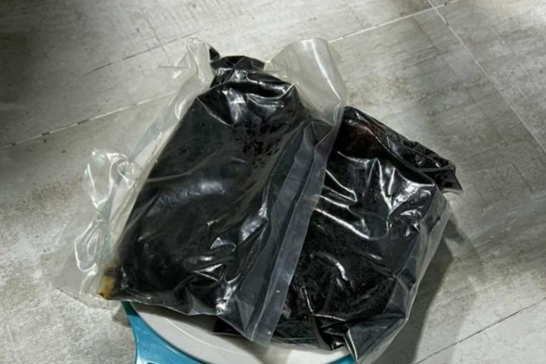 be900843-a20c-49b3-820c-9da4554a38a7-876x541