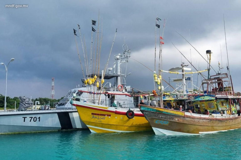 8fd1b929-63ba-4ec4-8697-2a73d64b278e