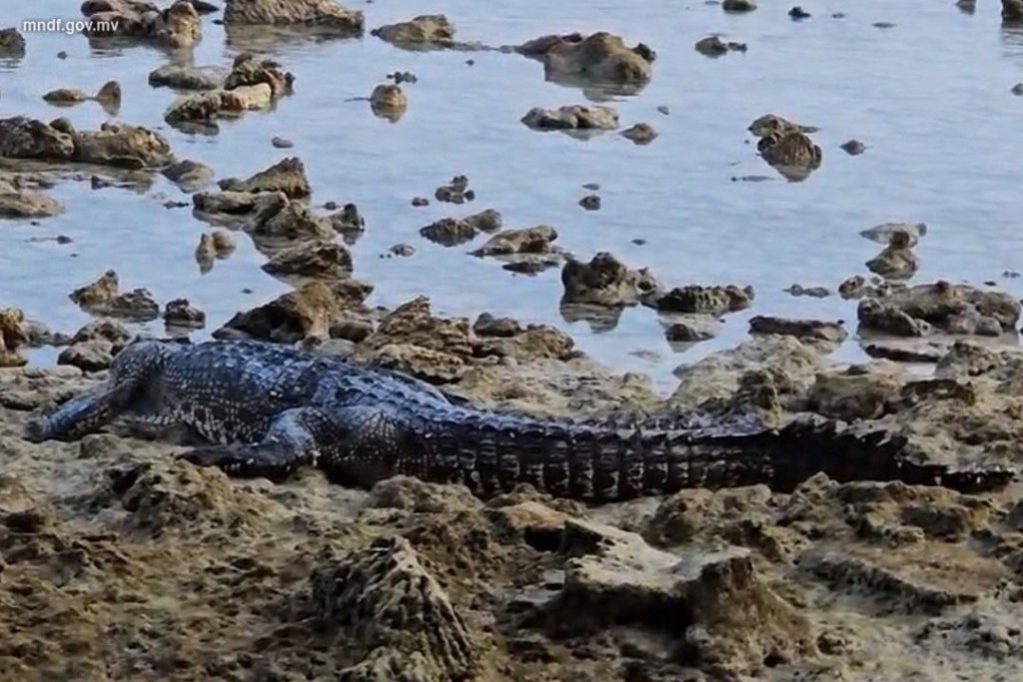 b_fuu7jFqa3r0VfFwCDRq1R2PQh