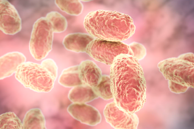 Screenshot-2024-02-01-081919-qj5f2dk5t5h0yzin76za12bclnxla5jnwz5oj3si38