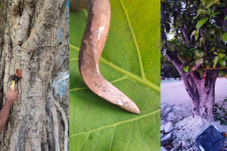 060-Funadhoo-sihuru-850x548