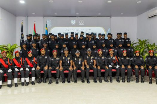 IMG-cb434a35566f8c4e934effcc51b5ea7d-V-650x350-1