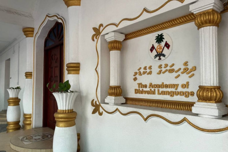 IMG_7193-850x548 (1)