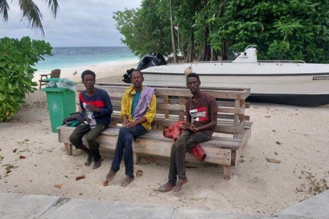 d07245c1-43f5-4500-9818-8397981b1145-768x433