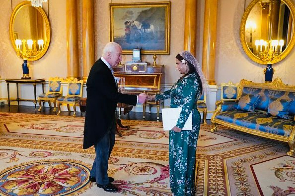 big_dLkOusMFJwYSgjQx2md6DjqJe