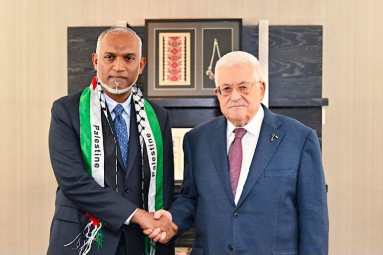 img_md_202411220902181732248138.4729