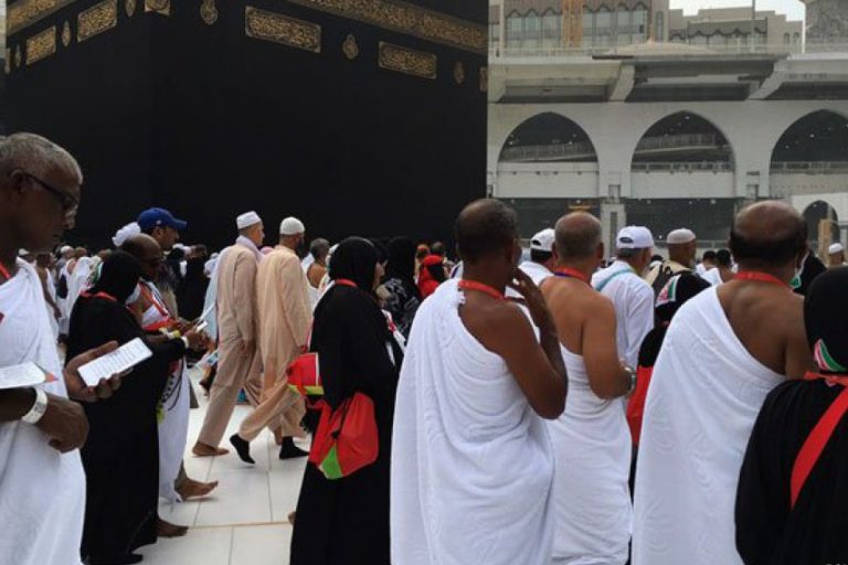 big_CKn8hCUPXFy0dBiKHDPYl1Zh6