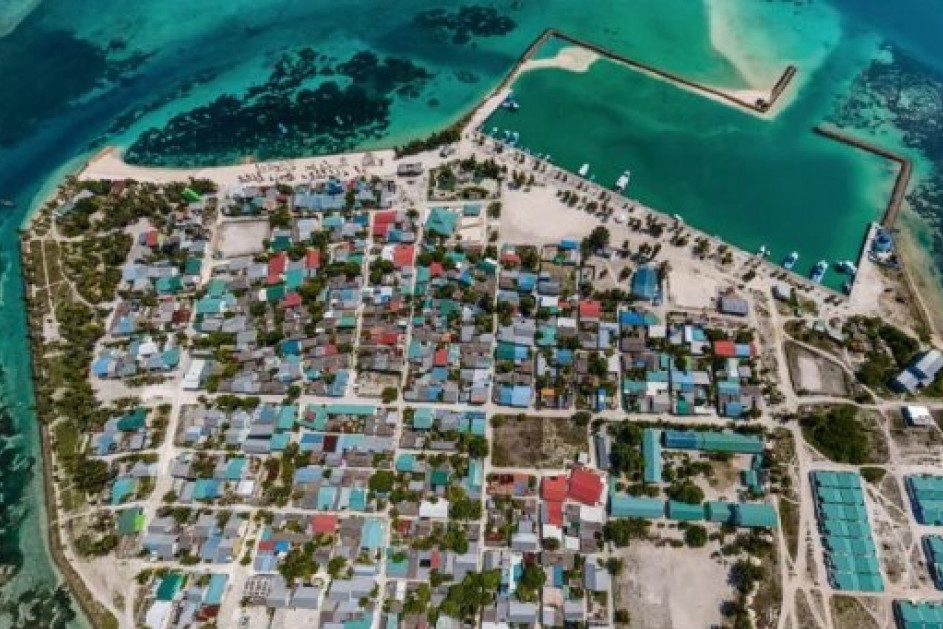 big_bamWWce90Q44LLprRJROIqOvS