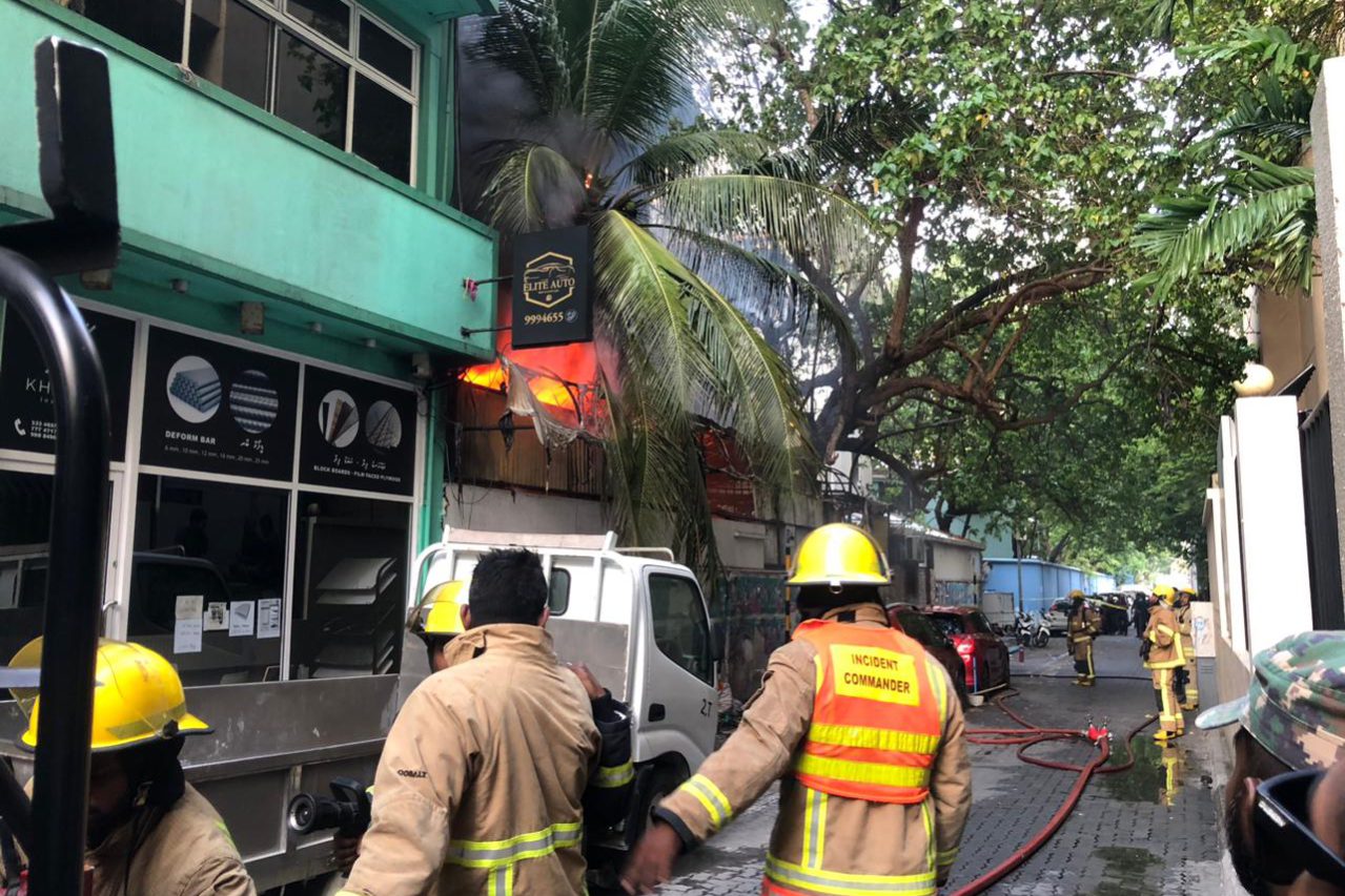 original_1739075444330