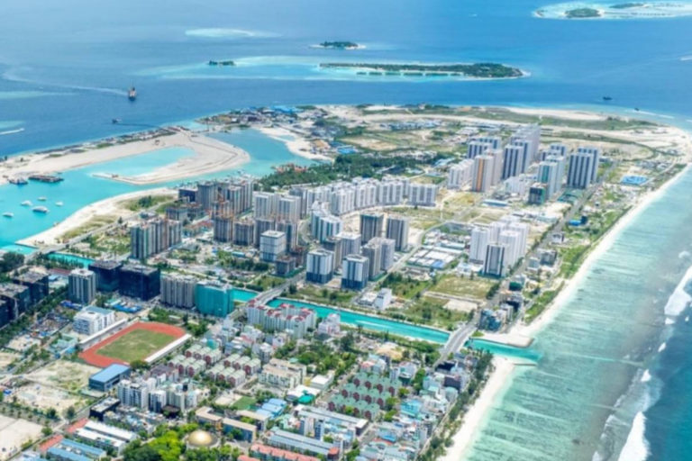 original_1739076323287