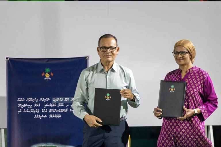 picnic-island--768x512