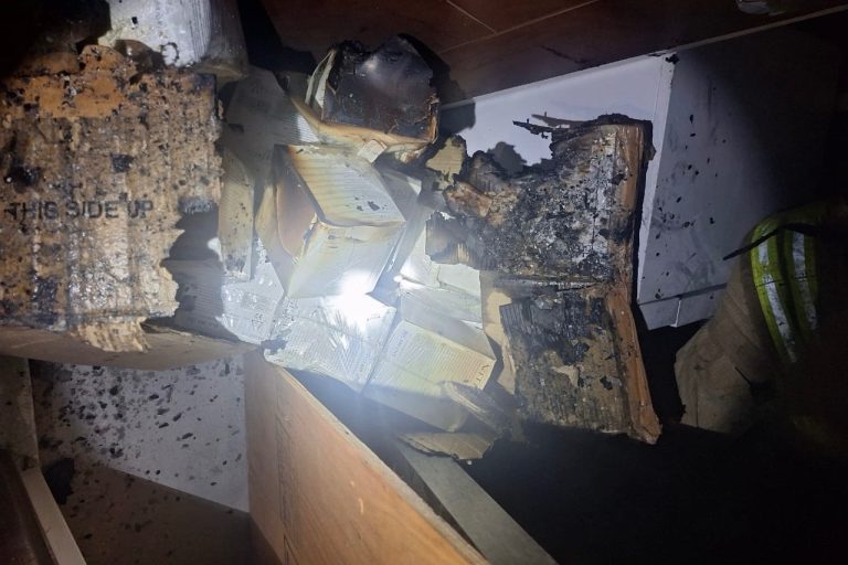 IMG_1465-768x512 (1)