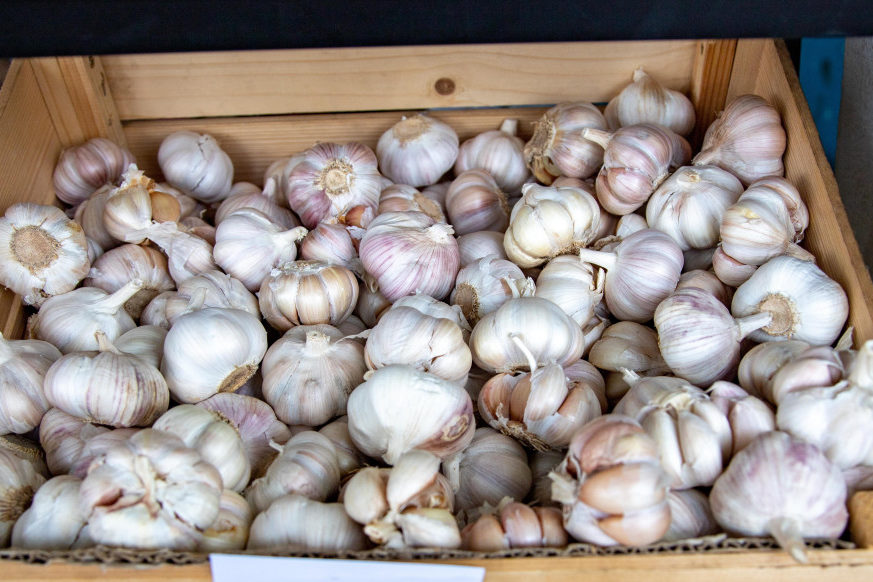 big_wPJtnRtRYJJrKjZ2InqLzHI5f