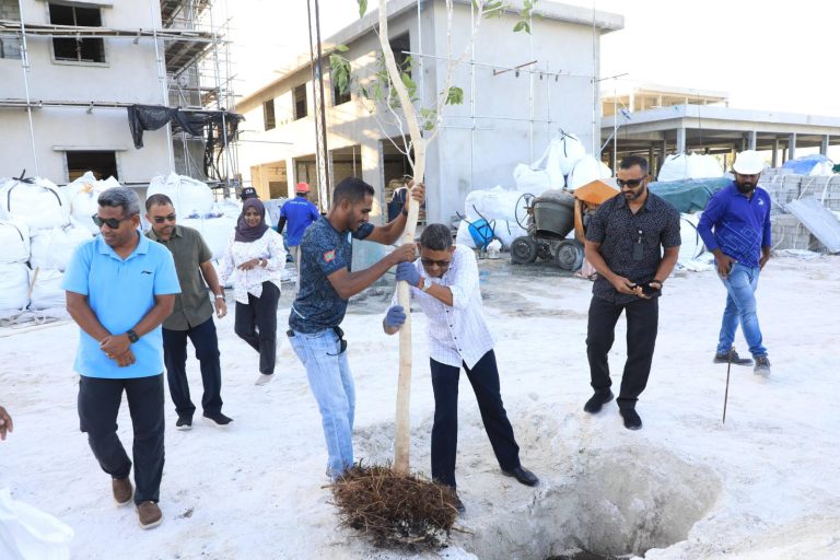 5_68d5b55717-768x512