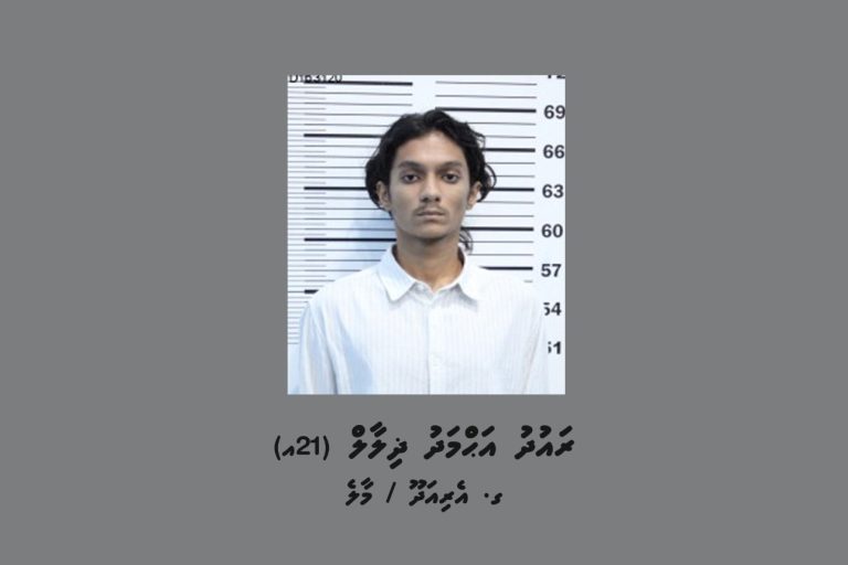 WhatsApp-Image-2025-04-25-at-11.06.28-768x512