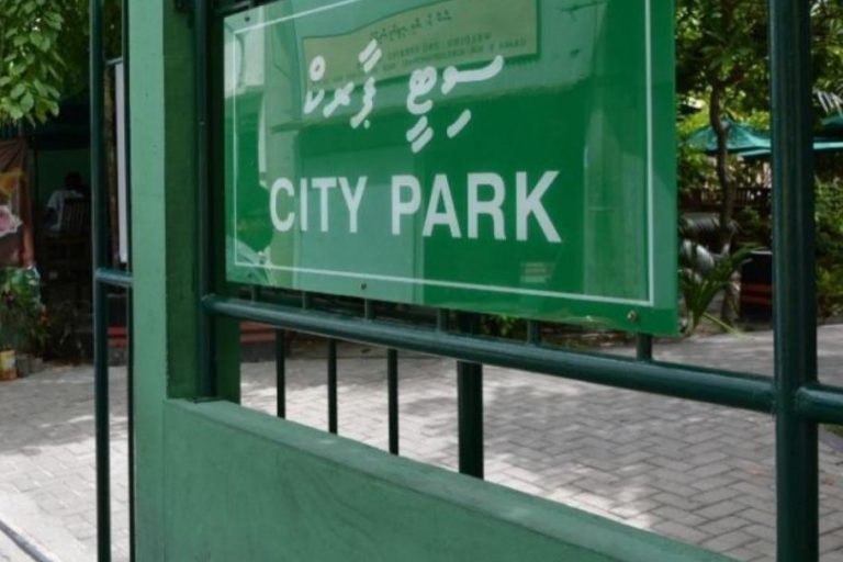 big_Ocwsx3q6SZkkcvhmAParKlvBA