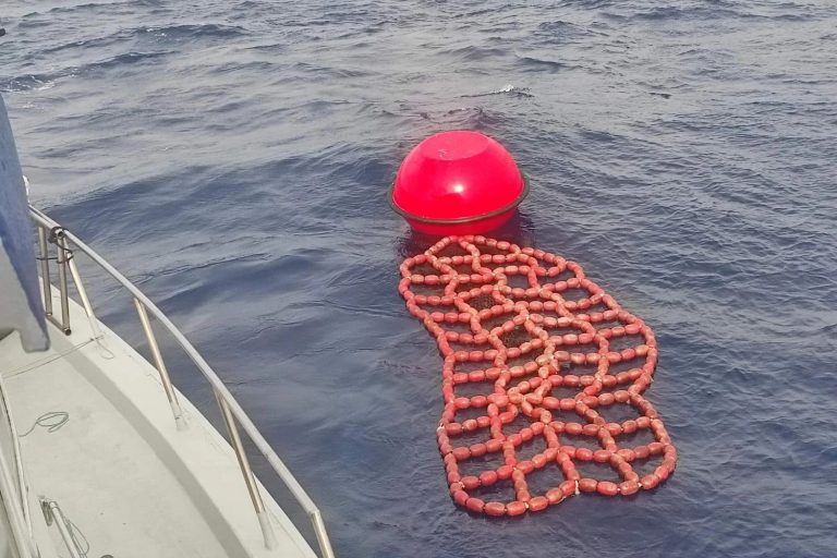 FAD-1720893302114-768x512