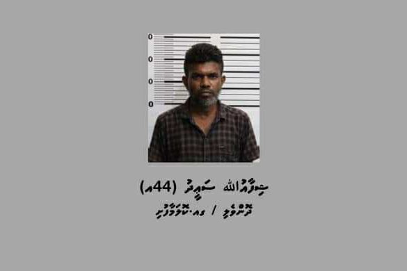 510014047-1379361966665348-919929662803240678-n