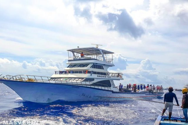 IMG_20190415_113209-876x426-1