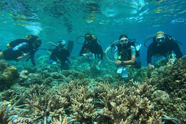 Marine-biology-group-coral_1600x900-1