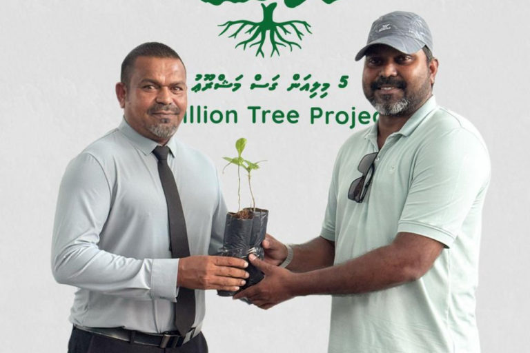 large_174893372234VYwy