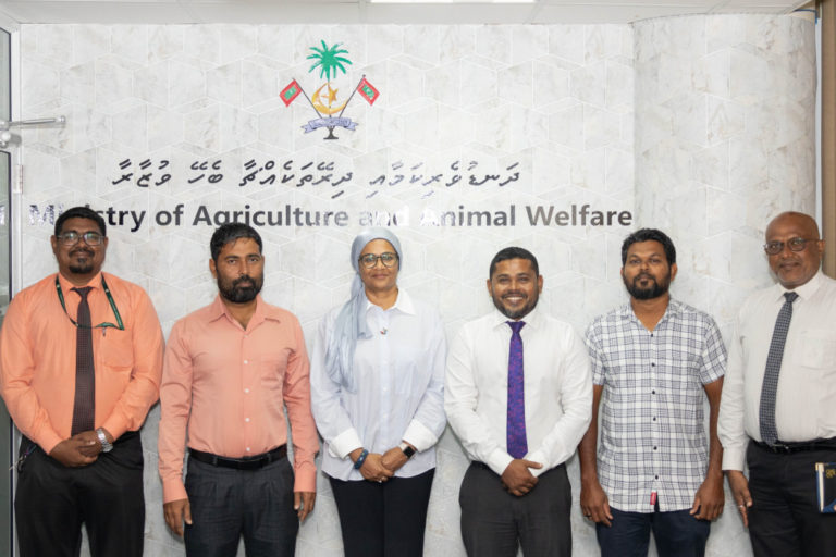 large_1750089269580Xhq