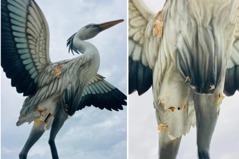 422517_3_4865b2536a39c214c2a0db99c824b360f613de96_large-1536x1024