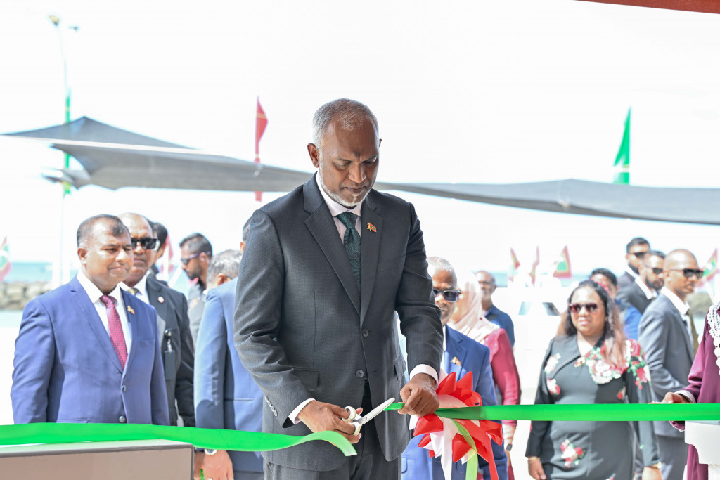 big_ucAjJOng3aUIBKZ8tdk8zc66H