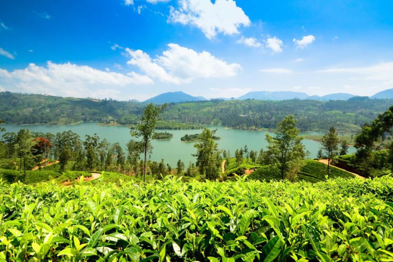 ca2d29f3-city-5201-166598d82dd