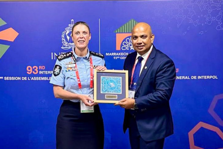 large_176431555858v3yo