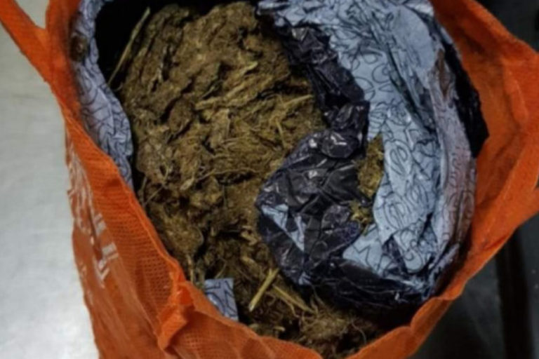 ކެނަބިސް-850x548